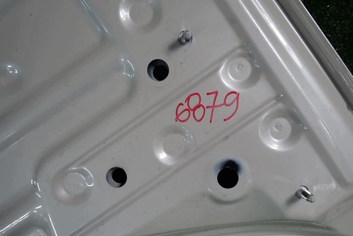 BMW F20 F21 1 cofano
