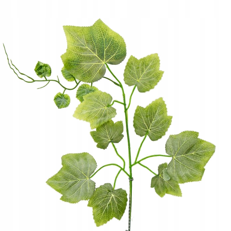 

Liść Winogrona sztuczny omszały 55 cm 12 szt