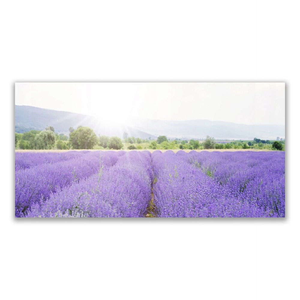 

Fotoobraz ścienny 120x60 Pole Lawendy Natura Łąka