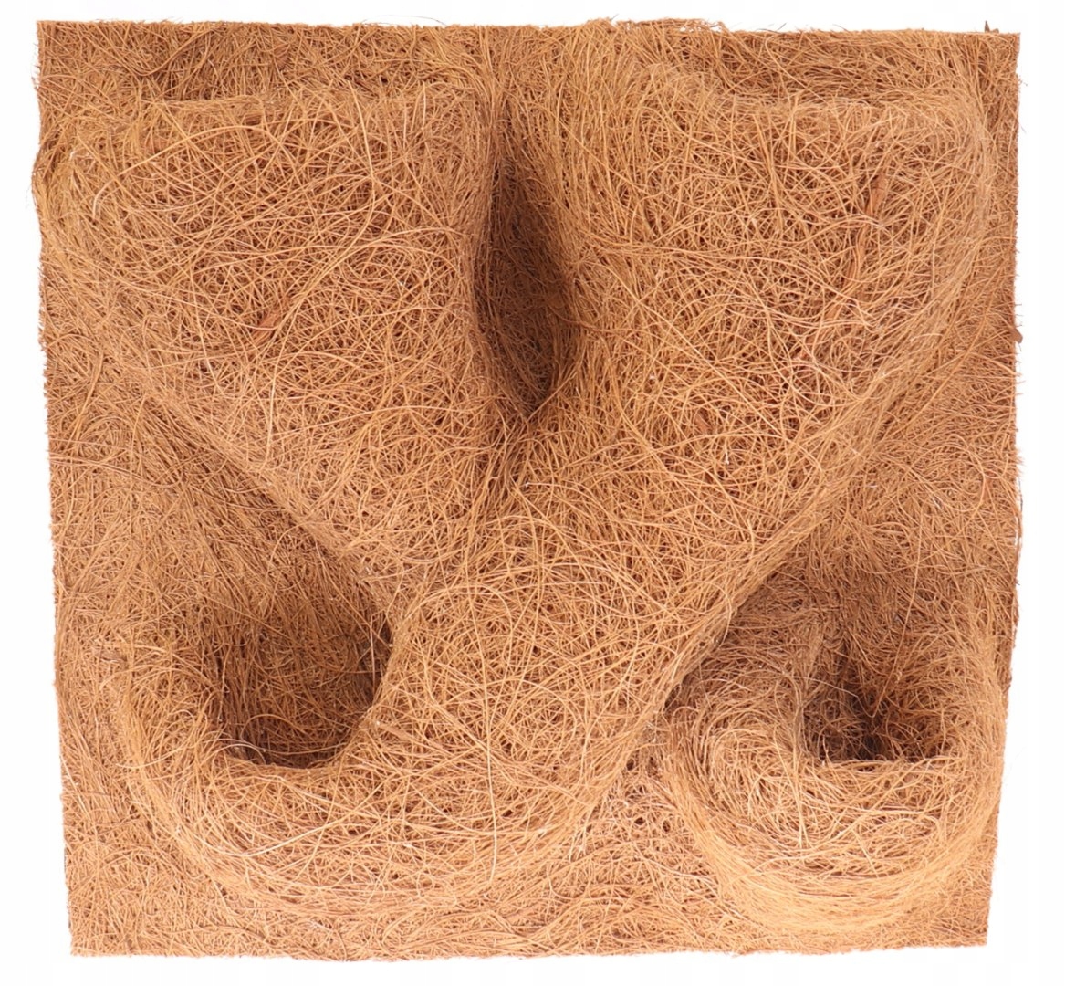 Levně Terrario CocoBackgroud 30x30 – pozadí z kokosu