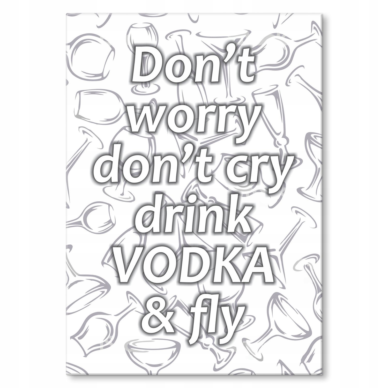 Kovový plakát Drink vodka and fly Dárek 42 x 59 cm