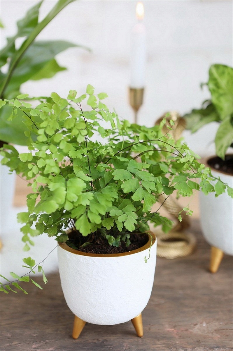 OSŁONKA DONICZKA 10CM na nóżkach BIAŁO - ZŁOTA Kod producenta 613