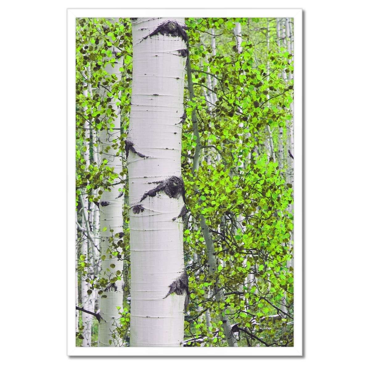 Plakáty v rámu 40x60 Jarní zeleň Brzóski