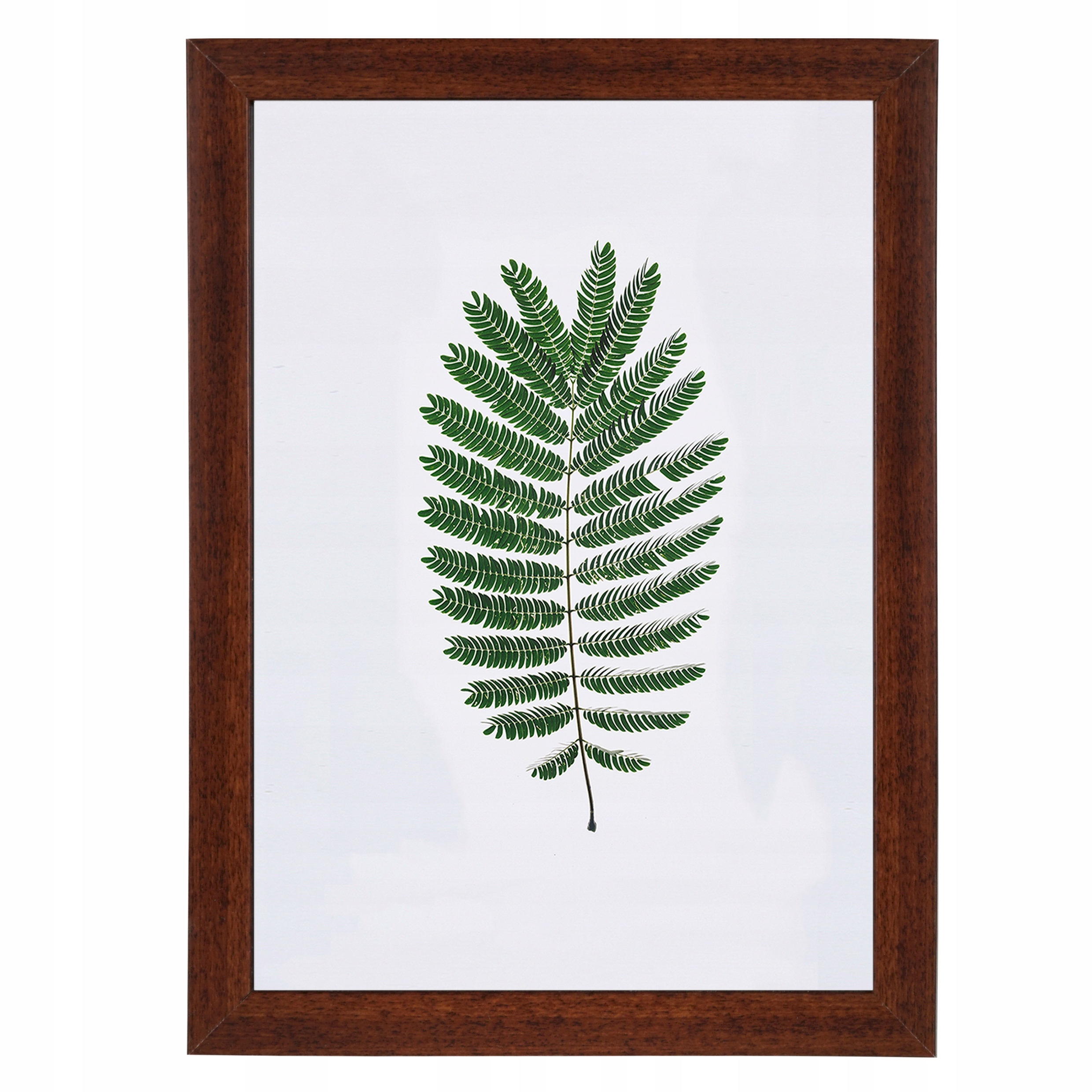 

Ramki na zdjęcia 24x30 20 kolor Średni brąz