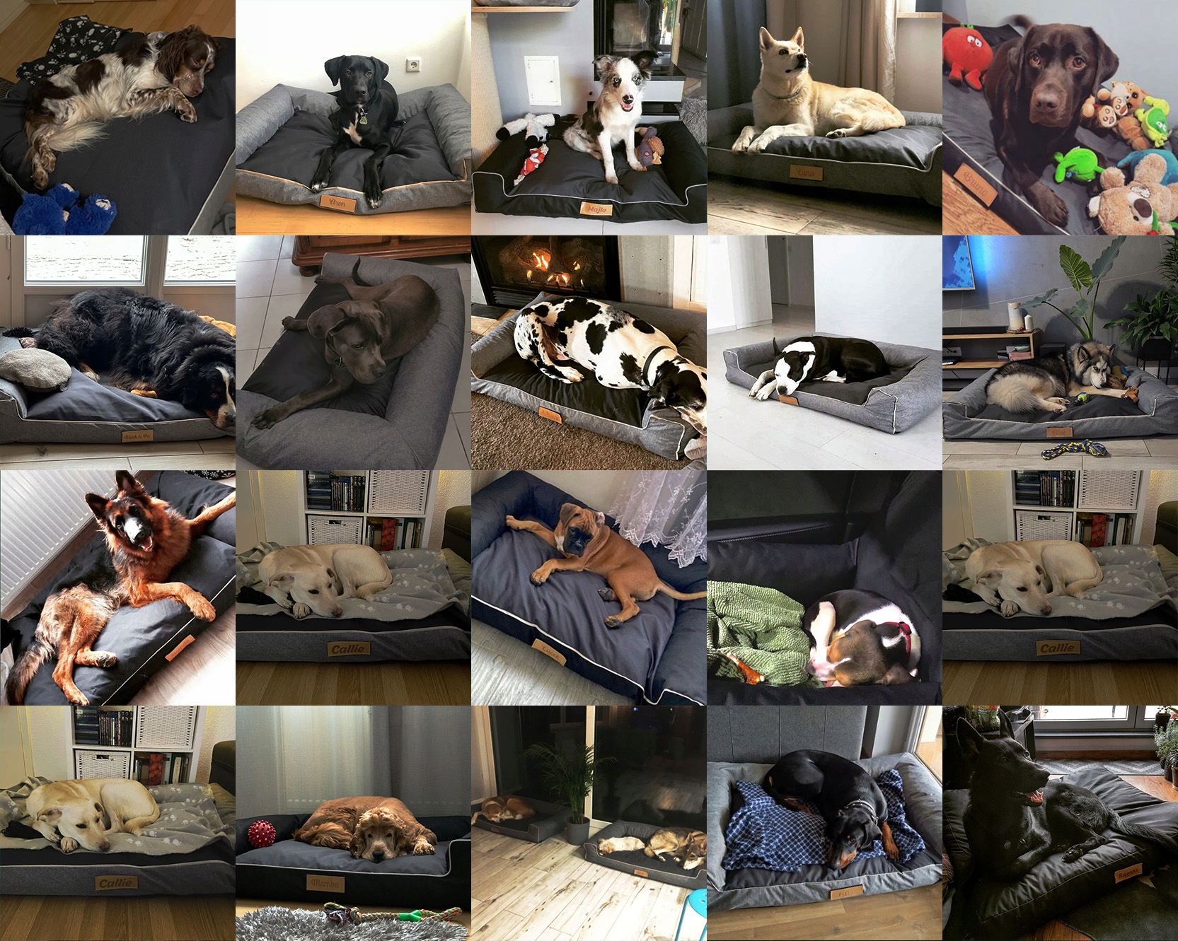 Legowisko dla psa XXL MATERAC GRAWER imię GRATIS Rozmiar XXL