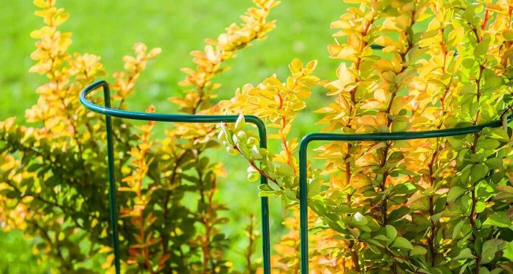 PODPORA PERGOLA DO ROŚLIN KWIATÓW HORTENSJI 115 CM Rodzaj drabinka