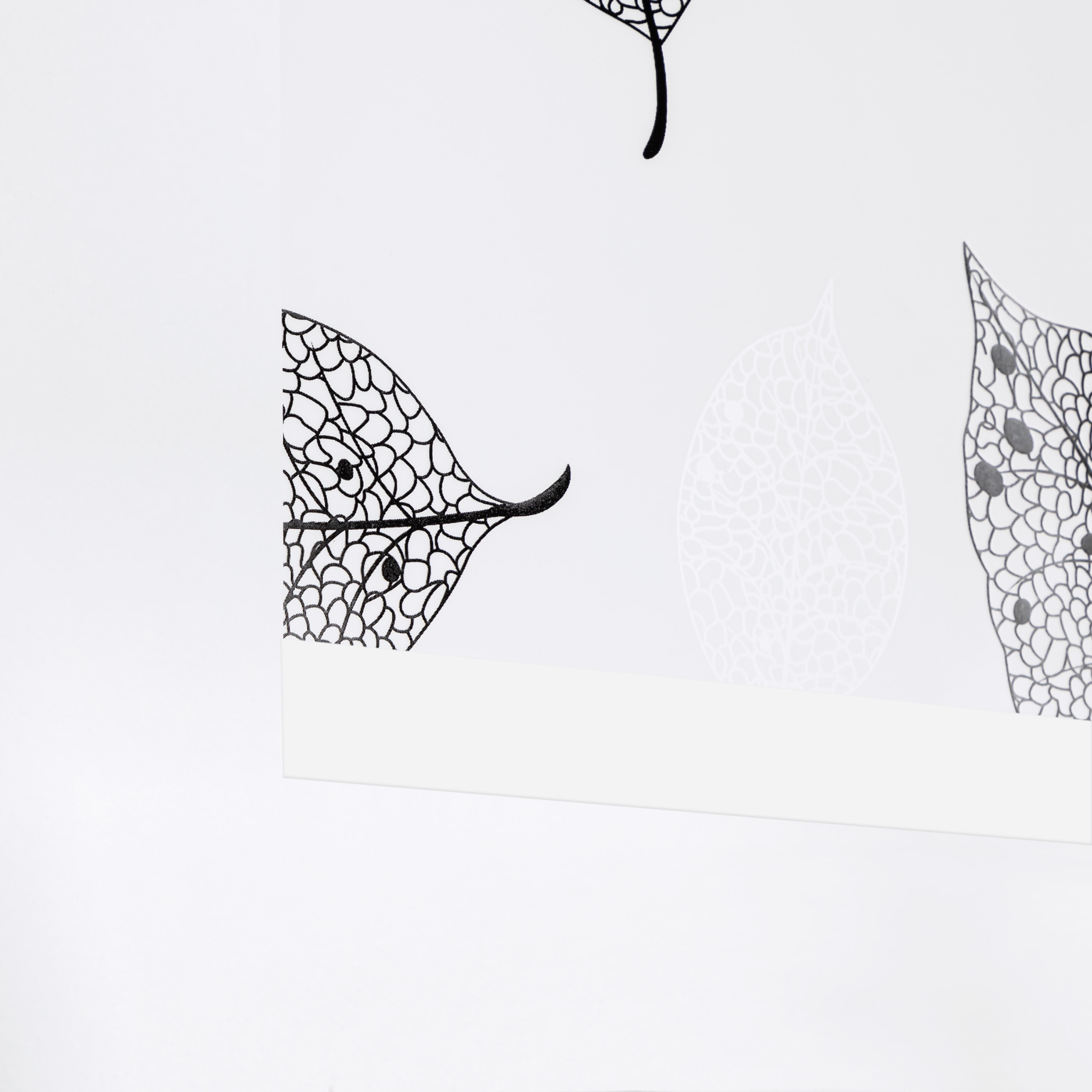 ROLETA PRYSZNICOWA WANNOWA ZASŁONA LIŚCIE 100X240 Długość 240 cm