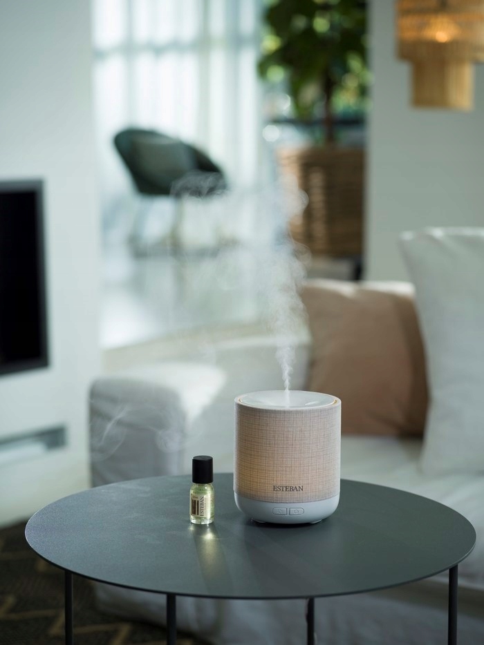 DYFUZOR MGIEŁKI ZAPACHOWEJ Easy Living Esteban Kod producenta 3660963094934