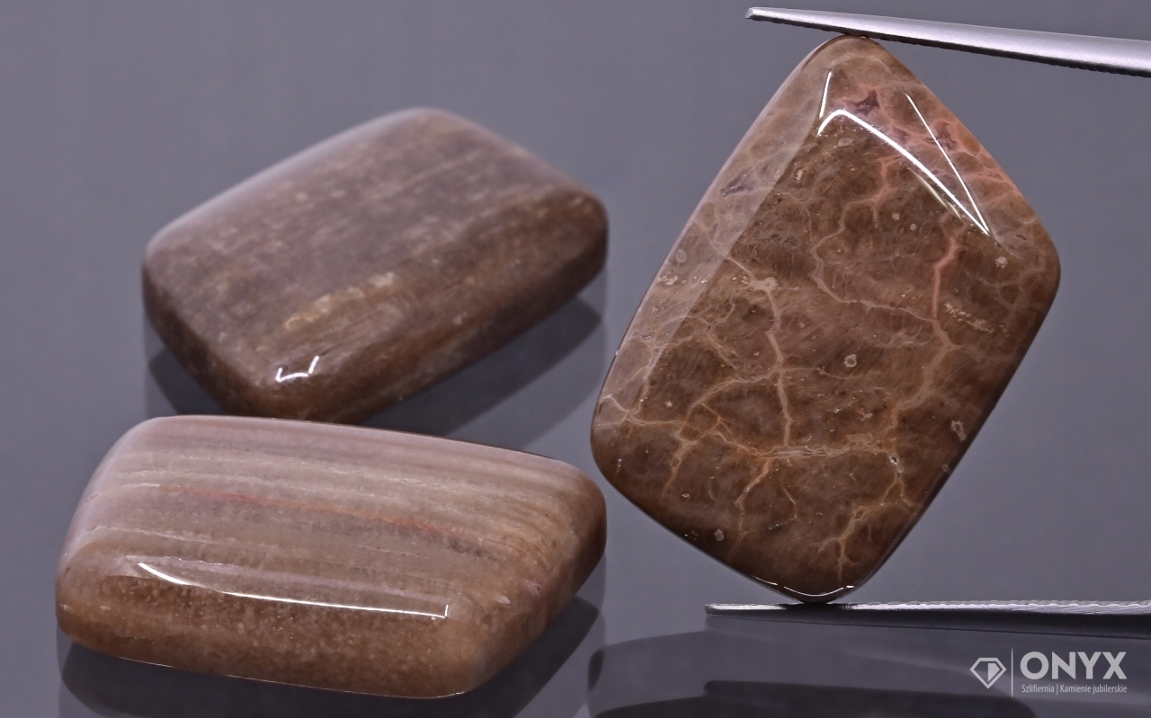 Zkamenělé dřevo nízký kabošon nepravidelný 23 x 15,5 mm