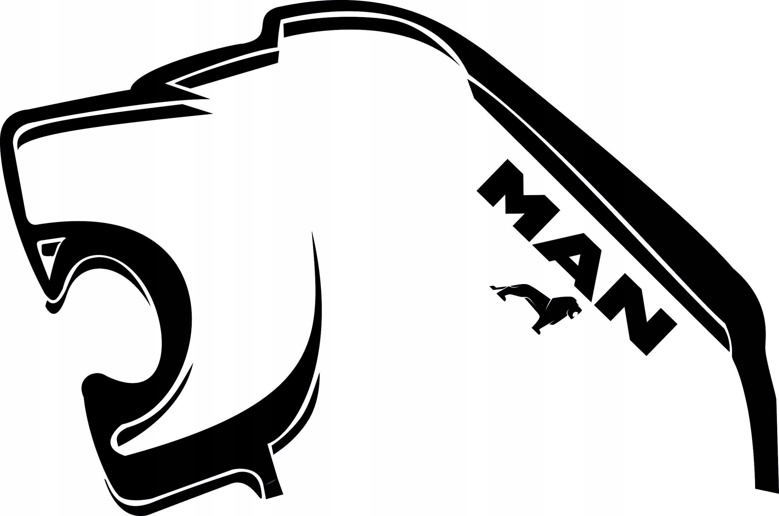 Naklejki Man TGA TGX LEW Ciężarówka