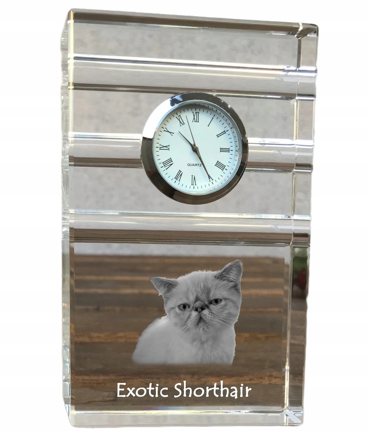 Exotický krátkosrstý krištáľový stolný hodinový strojček s vašou fotografiou