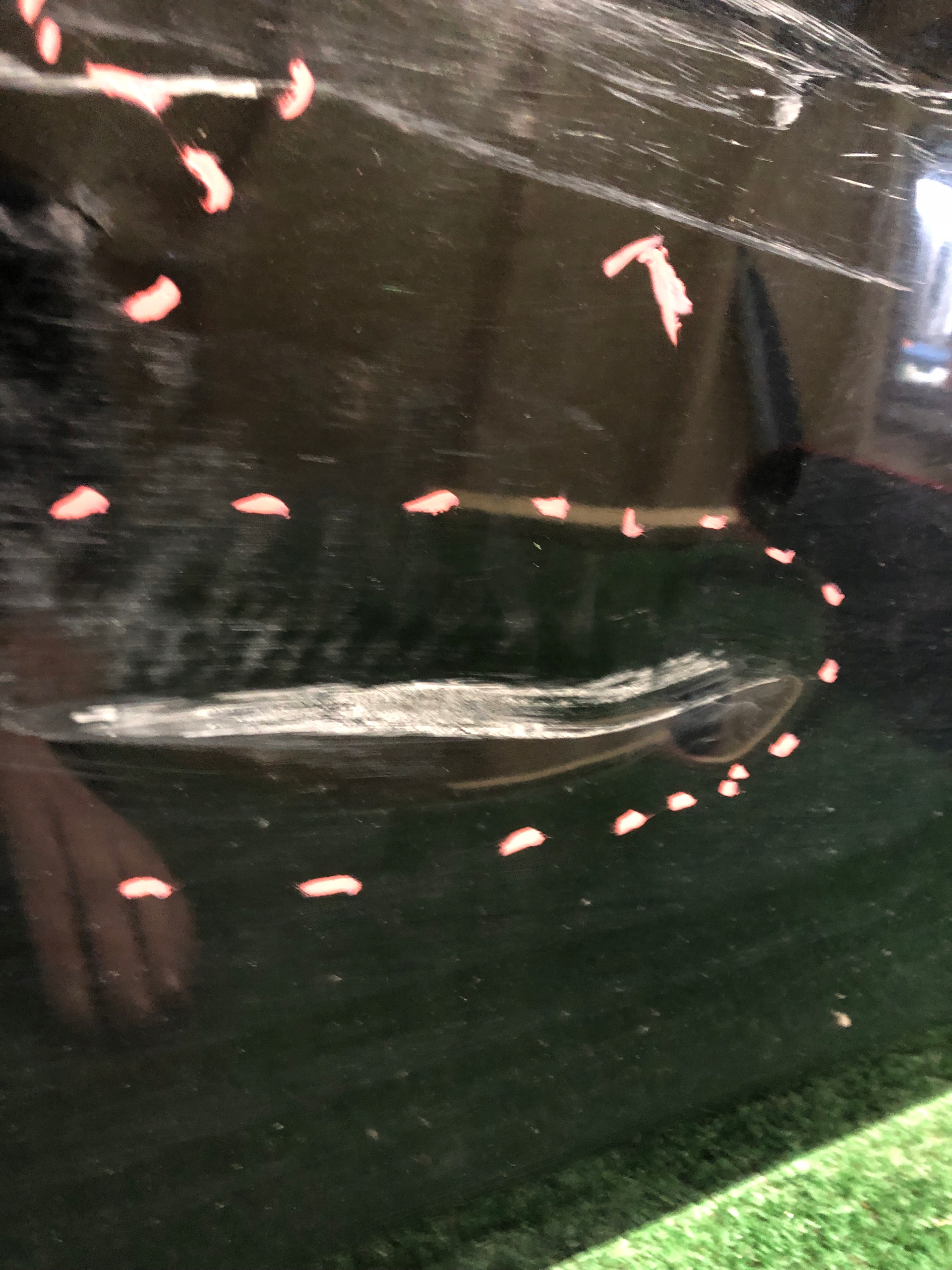 Tür vorne rechts BMW 5 E60 E61