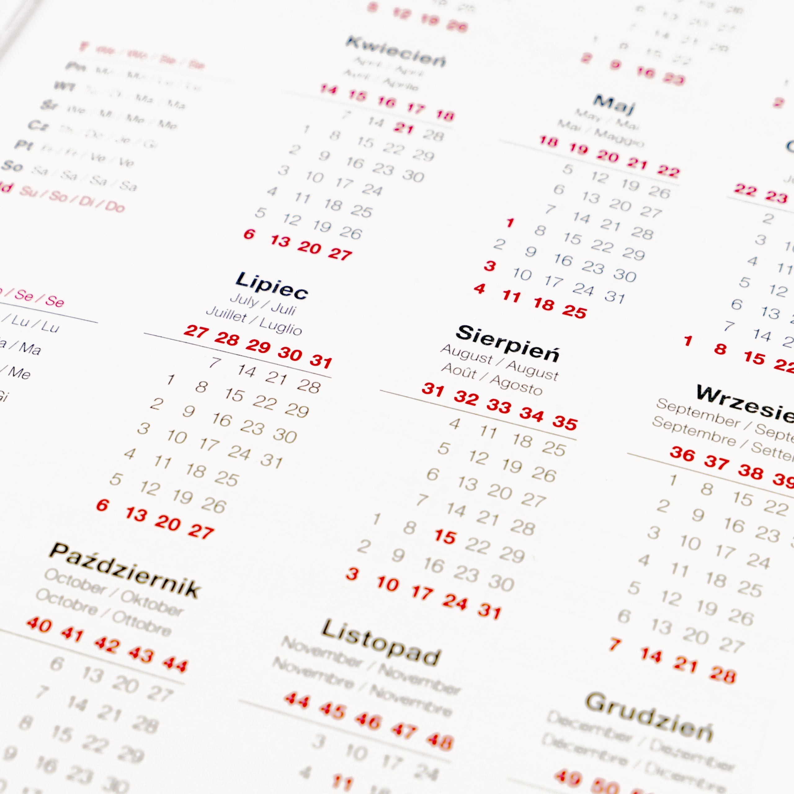 KALENDARZ A5 2025 Różowy Planer Na Prezent Samochody PORSCHE Berry Wzory Rodzaj planer