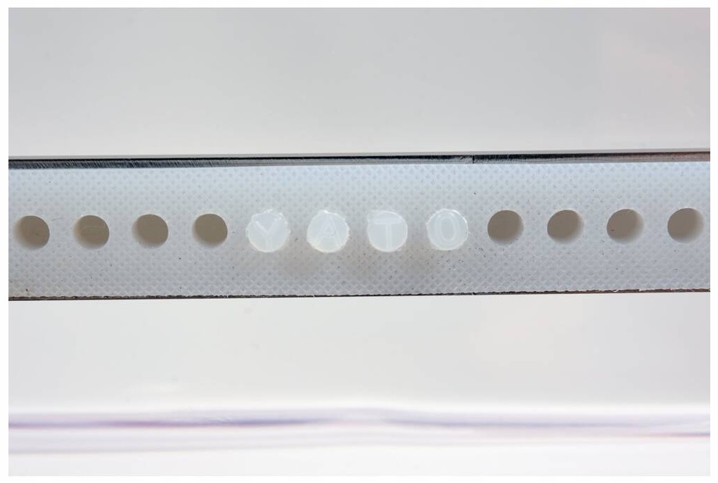 Pakowarka Próżniowa Wolnostojąca Komorowa 900W Listwa 42cm Yato YG-09310