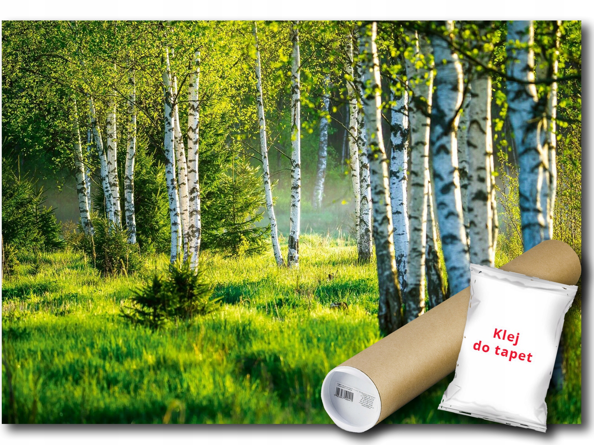 Fototapeta Flizelina Příroda Les Park Břízy Tráva 350x250 lepidlo bonus