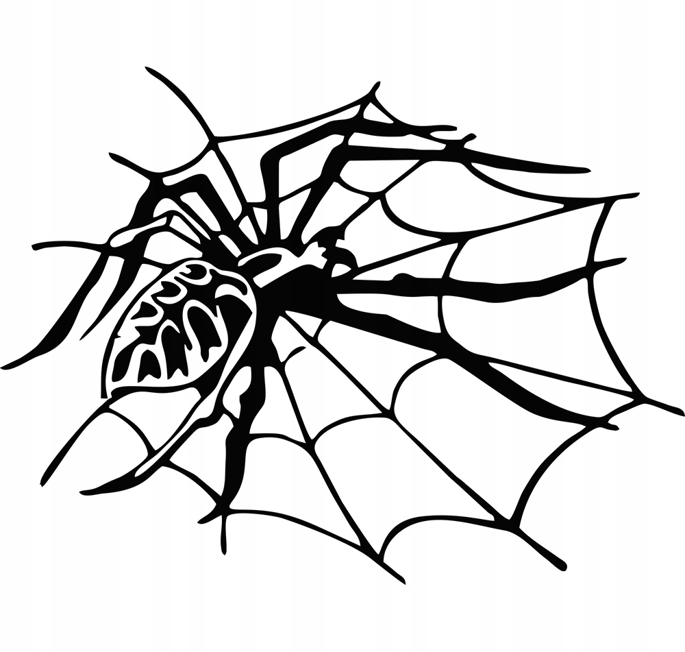 

Naklejka na samochód Pająk Pajęczyna Spider 11x15