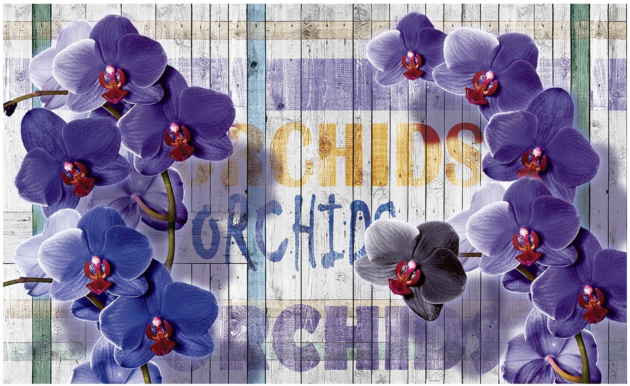 Fototapeta orchideje květiny fototapety 254 x 184