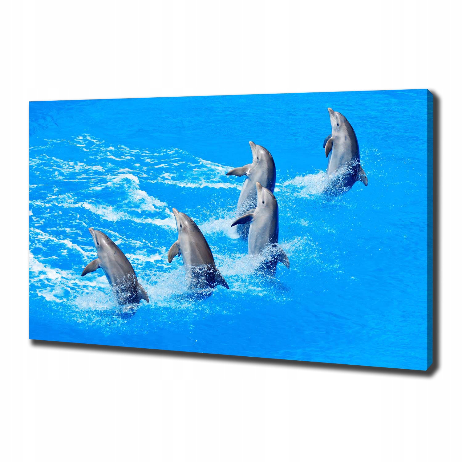 

Foto obraz canvas na ścianę Delfiny 100x70 cm