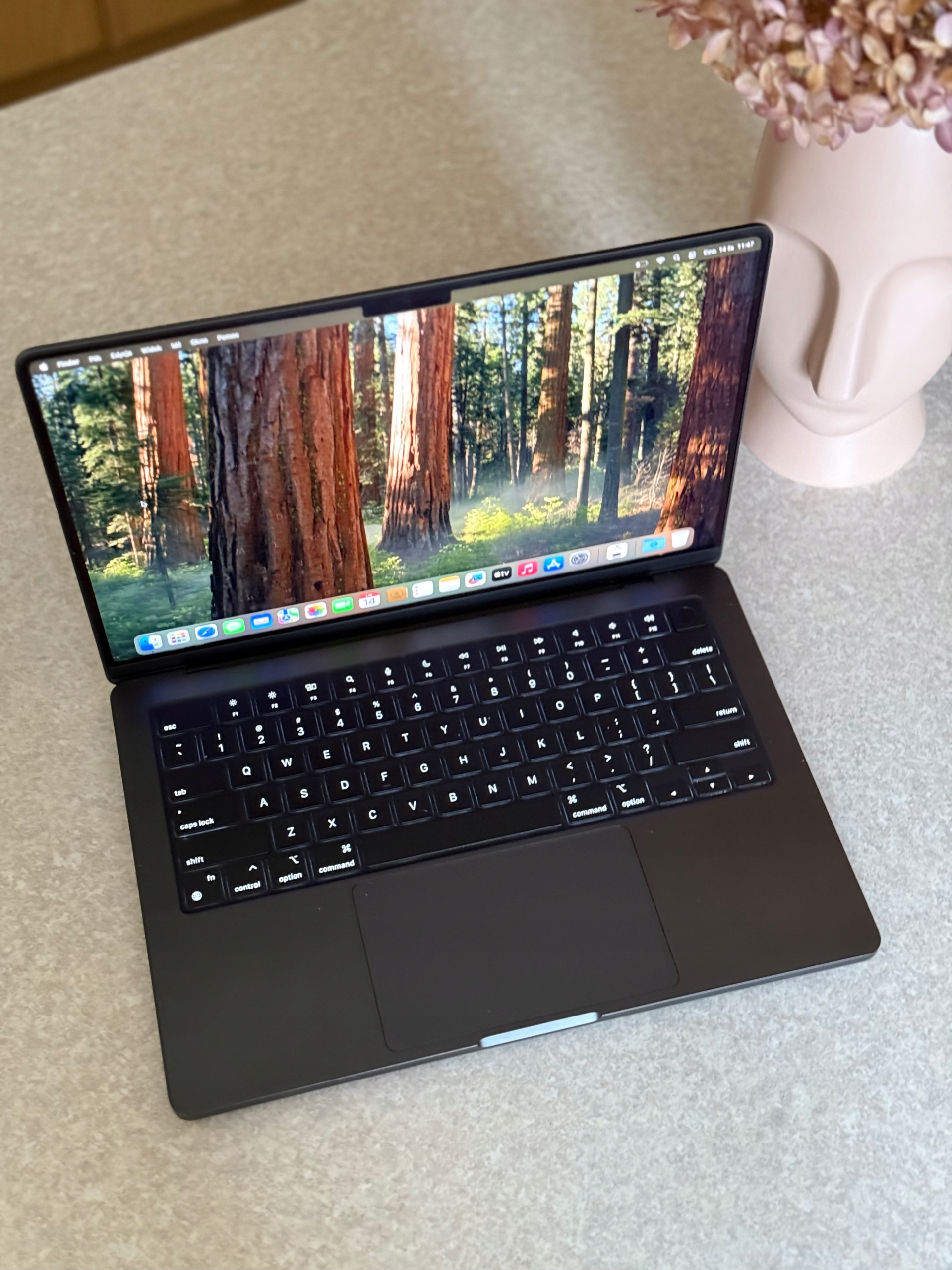 Apple MacBook Pro 14 M3 Pro 18GB 512GB Gwiezdna czerń