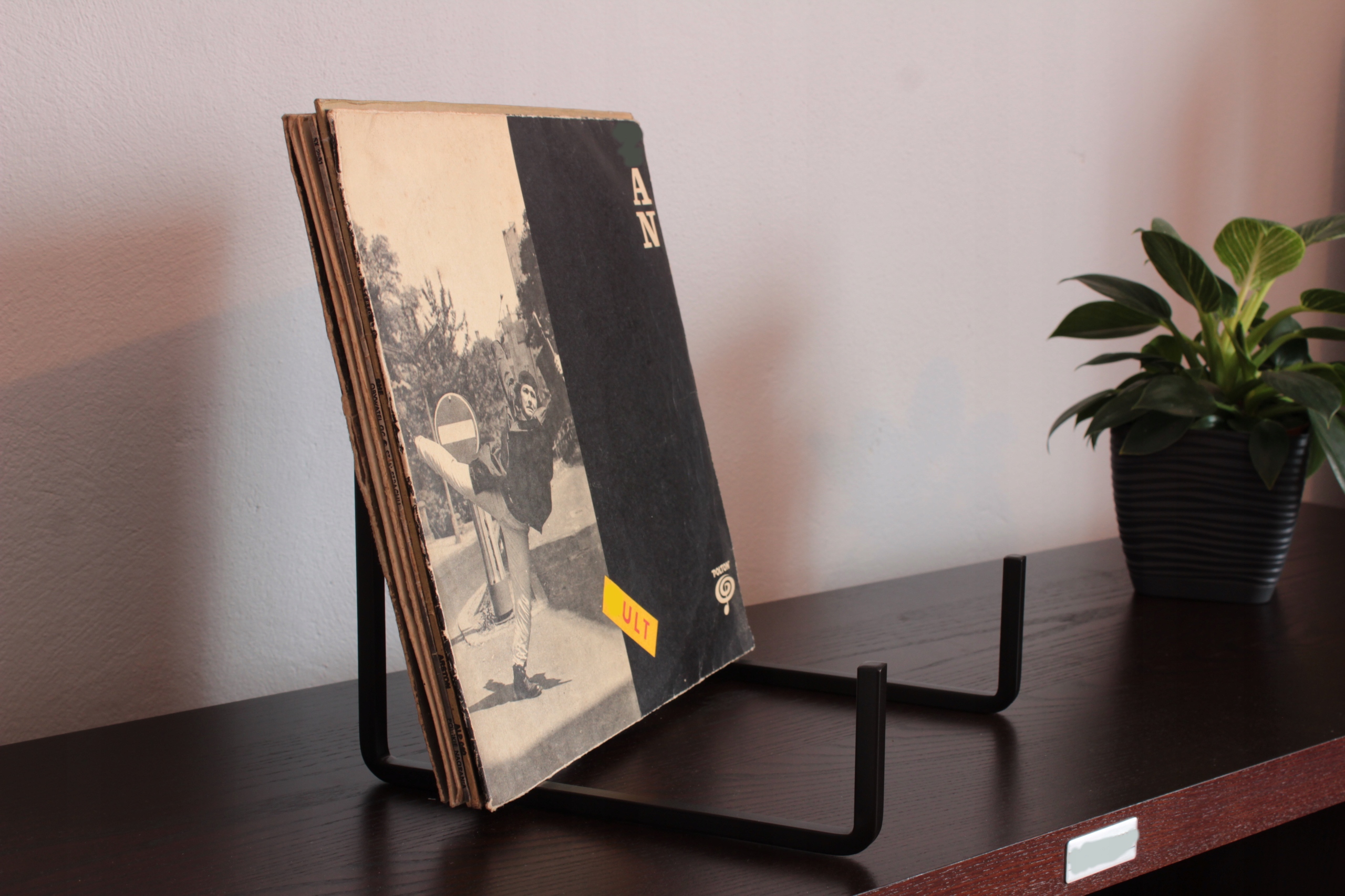 STOJAK NA PŁYTY WINYLOWE Kod producenta DW1