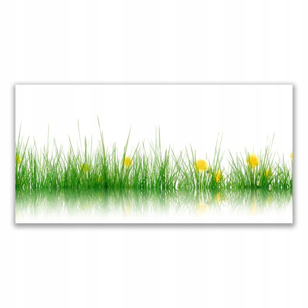 

Obraz akrylowy wiszący 120x60 Natura Trawa Kwiaty
