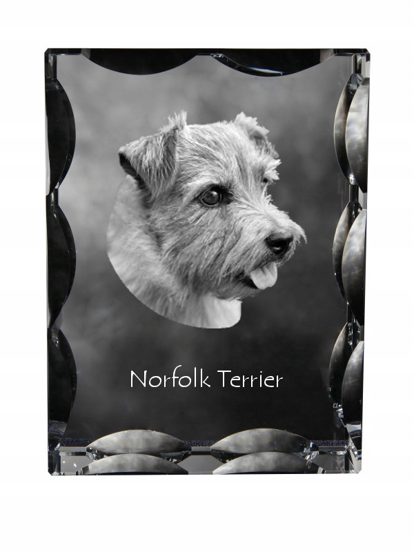Norfolk Terrier fotografia psa v ozdobnom kryštáli, suvenír, dekorácia domu