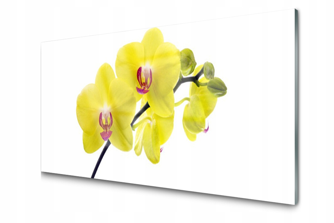 

Panel szklany Płytka Kwiaty Roślina 140x70