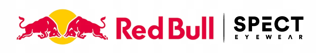 GOGLE NARCIARSKIE OKULARY RED BULL SPECT SNOWBOARD UV-400 + POKROWIEC Model Alley OOP