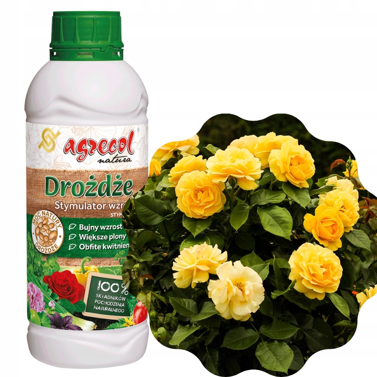 

Drożdże – Stymuflor-d – Stymulator Wzrostu Roślin