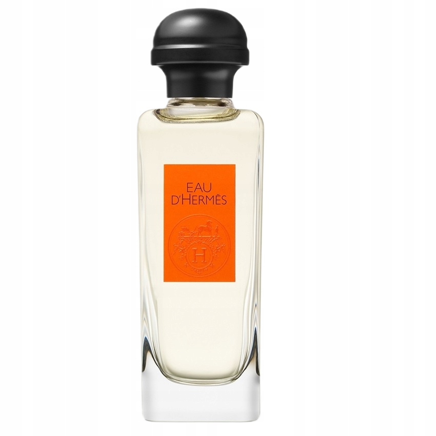 Hermes Eau d'Hermes toaletní voda sprej 100 ml