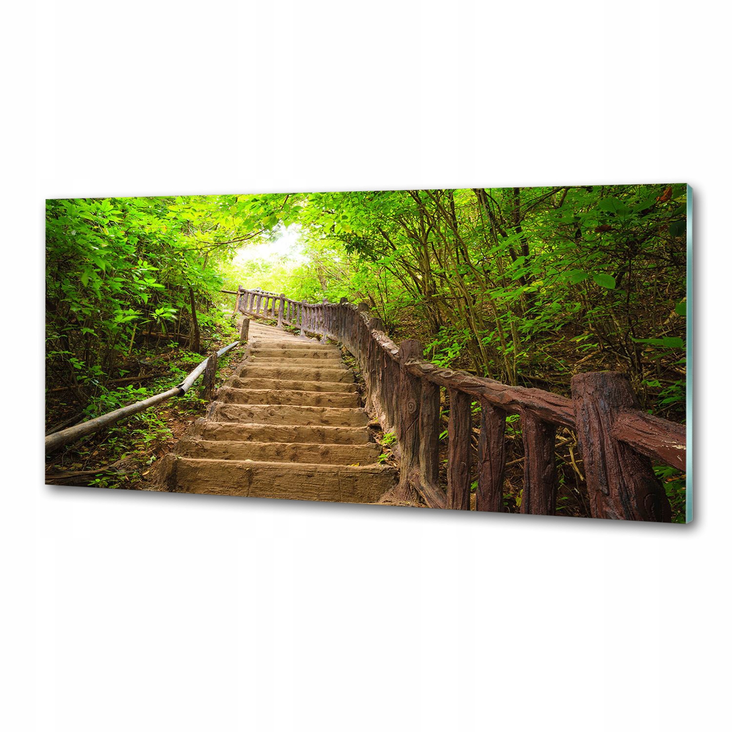 Panel do kuchyne Schody v lese 125 x 50 cm Lepidlo