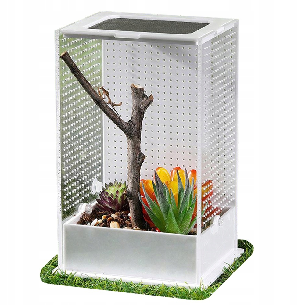 Terrarium Akrylowe Dla Modliszek Patyczaków Pająków Owadów Allegro