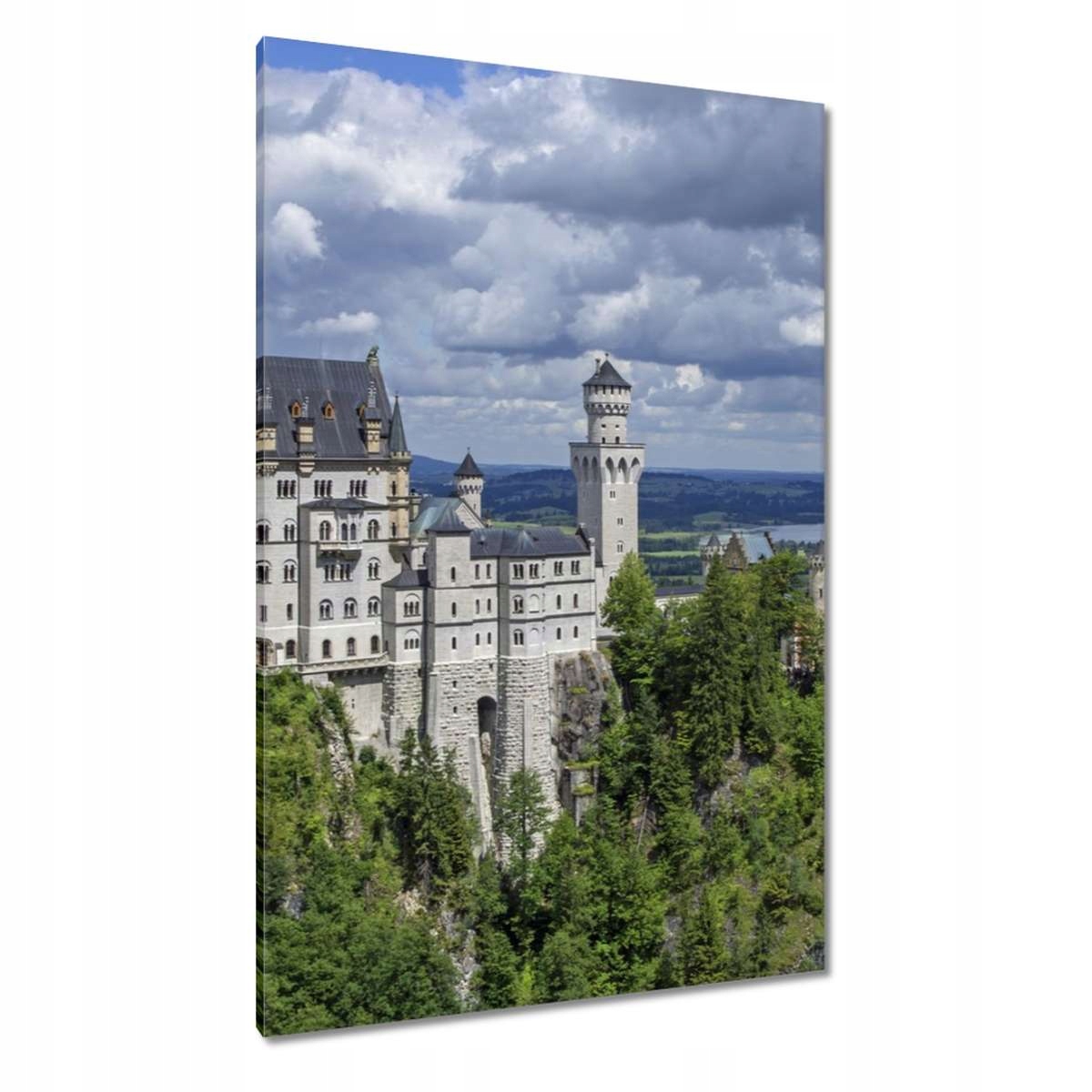 Obrazy 80x120 Zámek Neuschwanstein