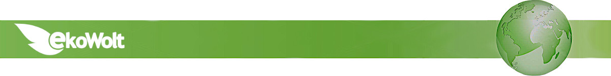 KAMERA ZEWNĘTRZNA IR LED SOLARNA CCD KAMERA ATRAPA Marka Inna