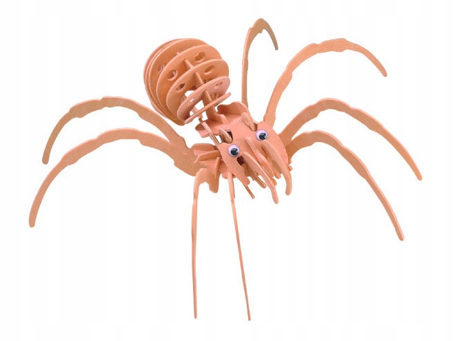 

Pająk czarna wdowa składanka drewniana E033