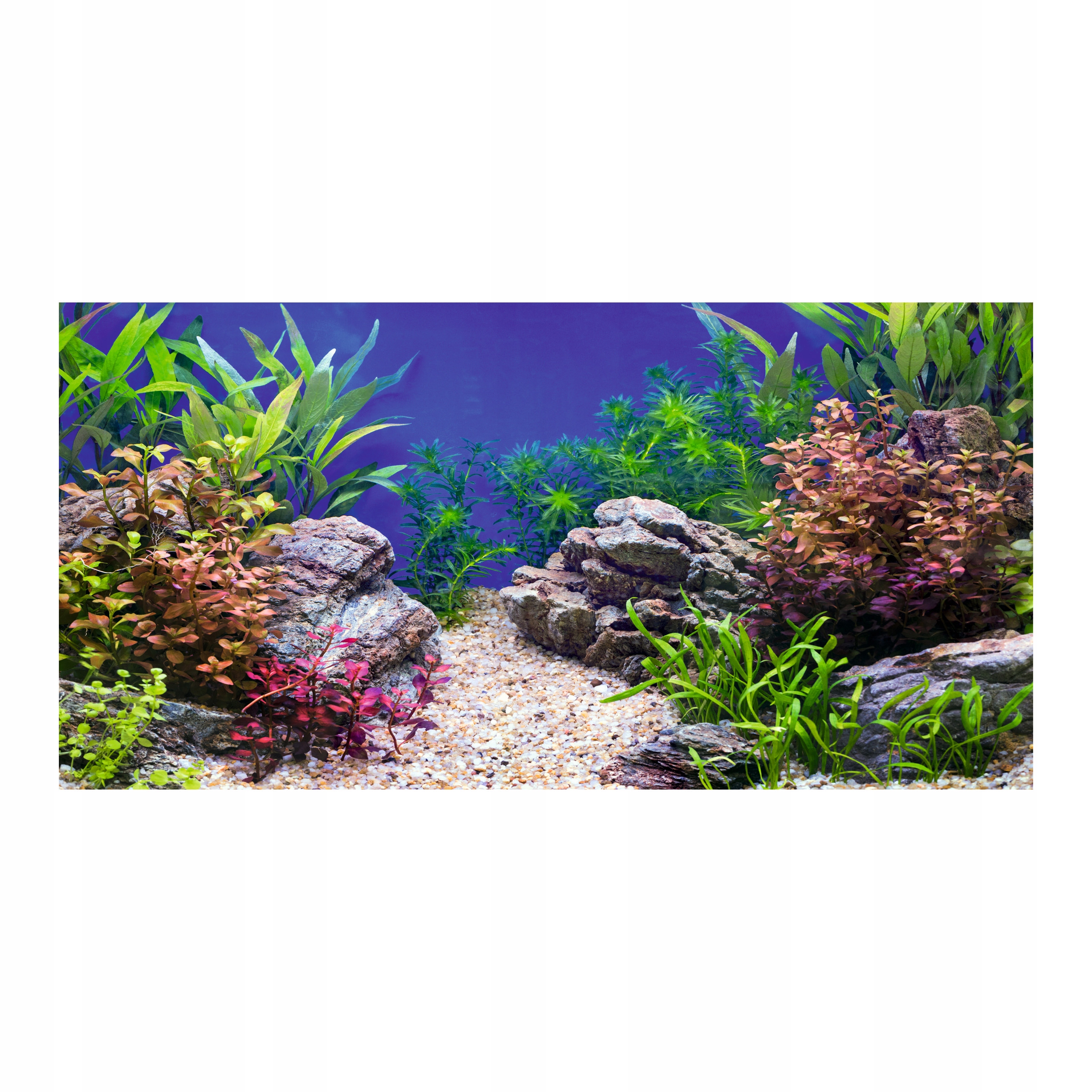 TŁO DO AKWARIUM SAMOPRZYLEPNE WZ 1 60X30cm