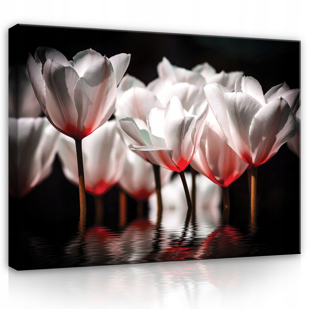 Obraz 100x75 Bílé tulipány odraz ve vodě klid elegance čistota