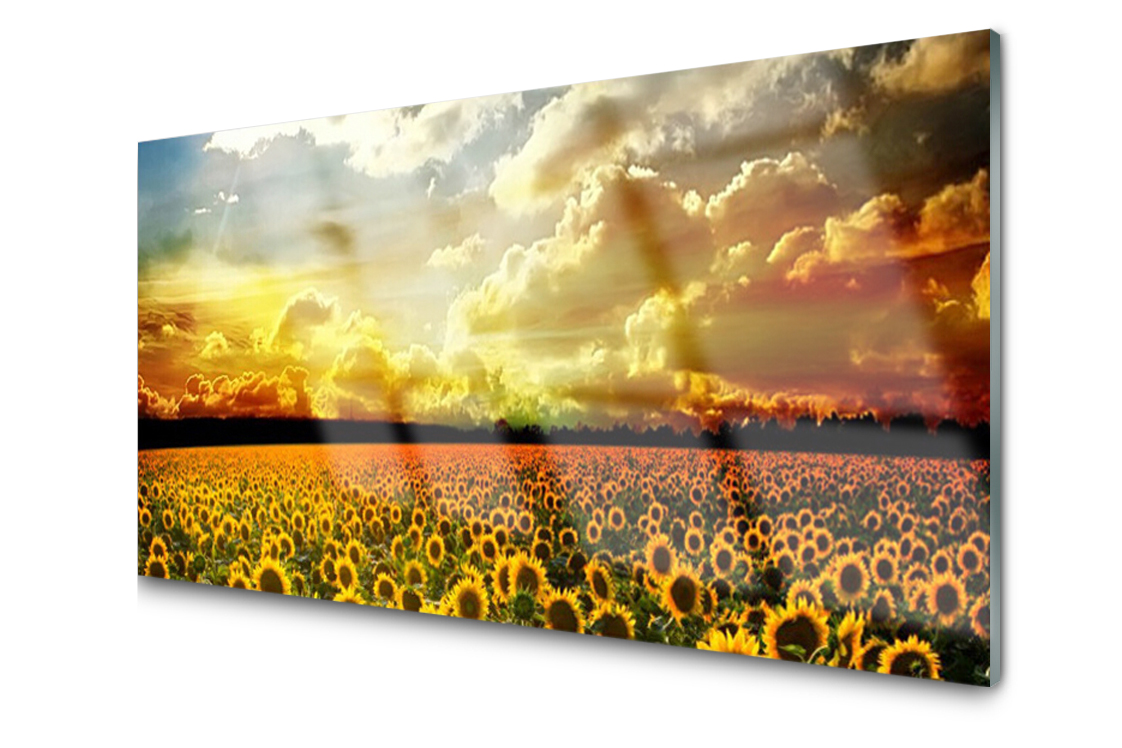 

Panel szklany Płytka Pole Słoneczników 100x50