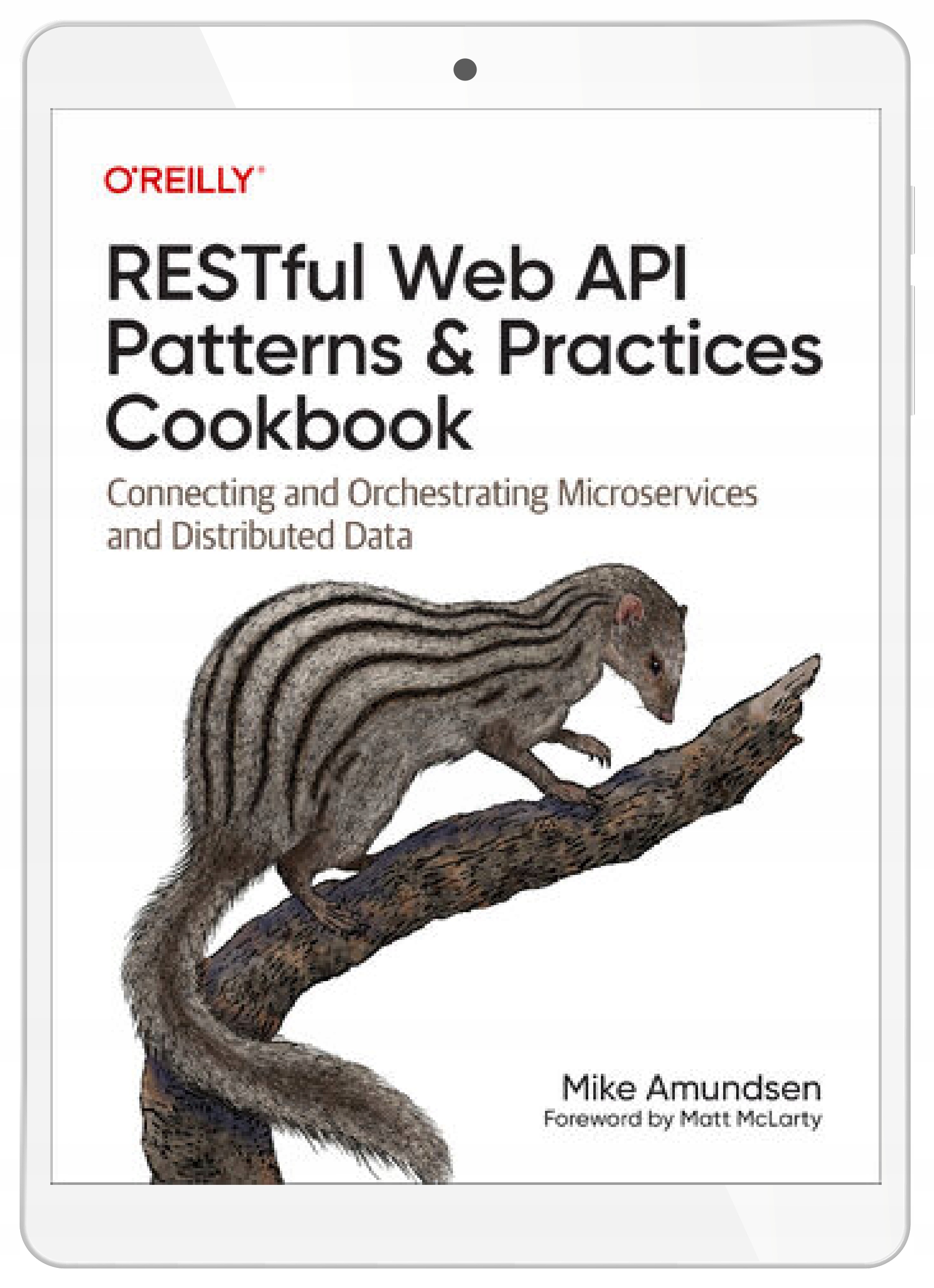 RESTful Web API Patterns and Practices Cookbook