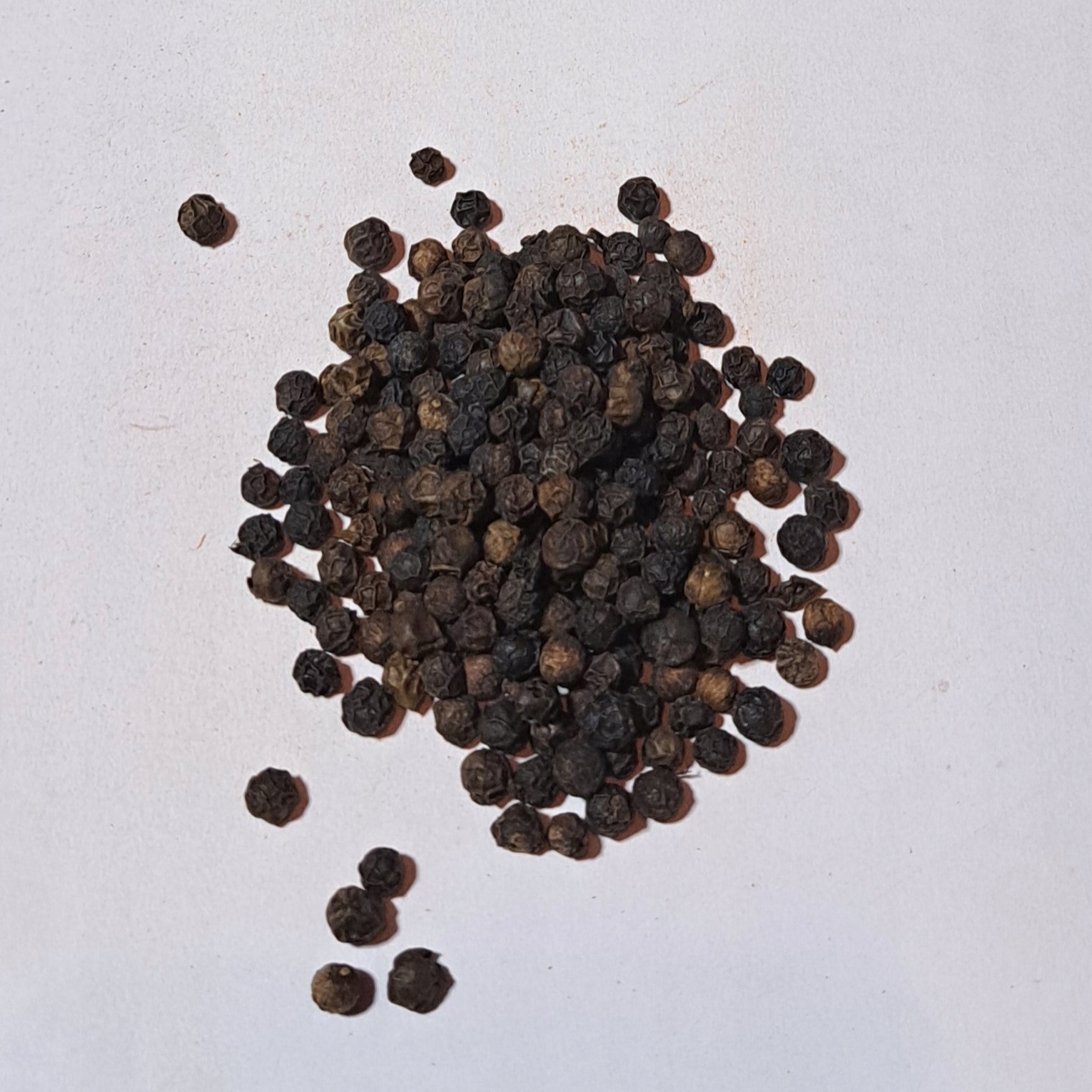 Levně pepř Černý Belem 1 kg Rafex