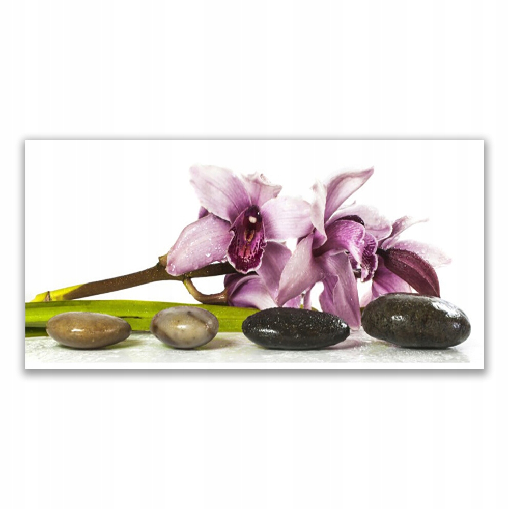 

Fotoobraz na ścianę 140x70 Kwiat Kamienie Roślina