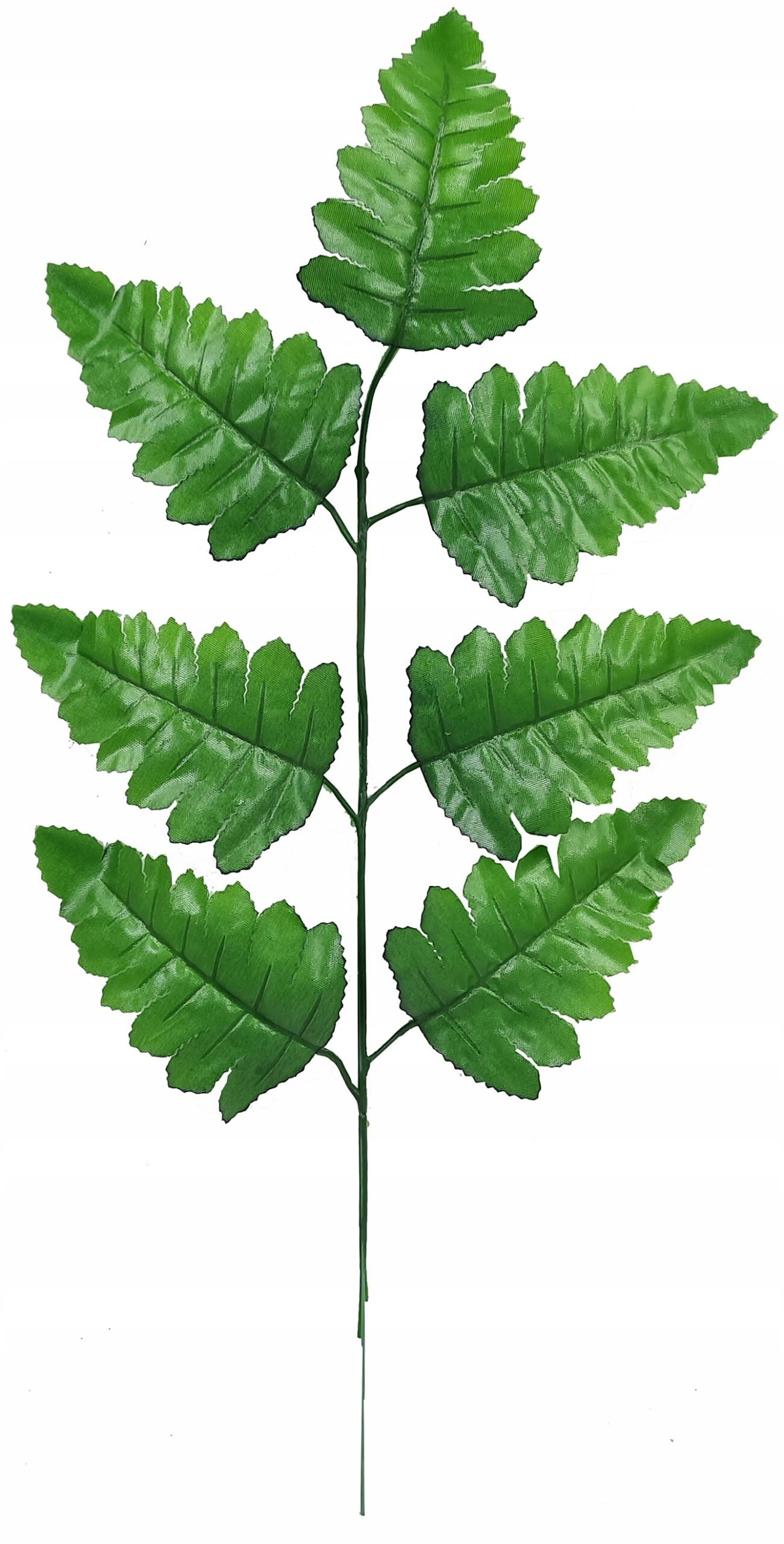 LIŚĆ PAPROTKA LIŚCIE LISTKI PAPROCI PAPROTKI Kod producenta PAPROTKA X7