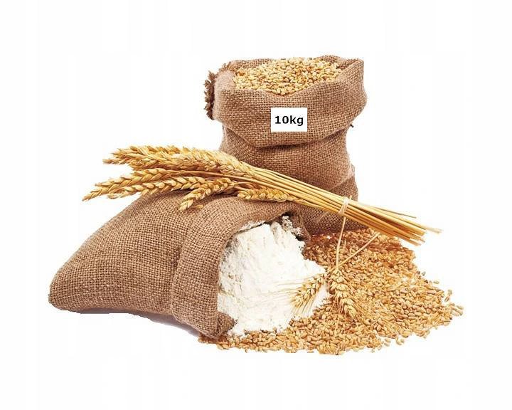 Syn Młynarza Mąka Orkiszowa Typ 3000 mąka100% 10KG