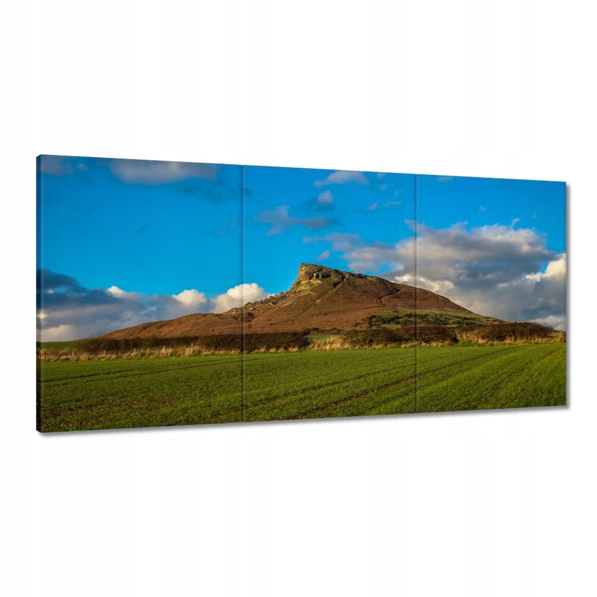 Obrazy 180x90 Pohľad s lúkou Hora