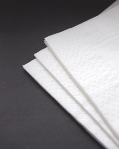 Serwetki gastronomiczne 24x24 białe 2-warstwowe 200szt. Stan opakowania oryginalne