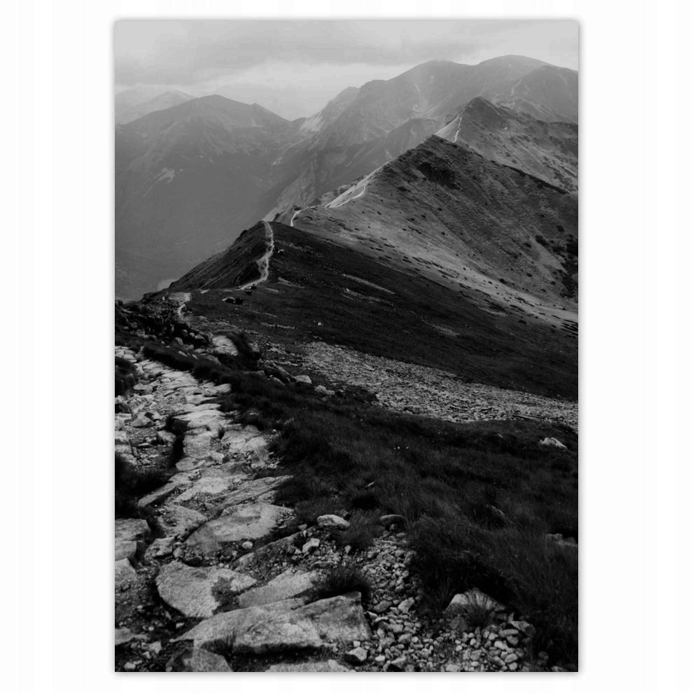 

Naklejki 50x70 Tatry Polskie góry Widok