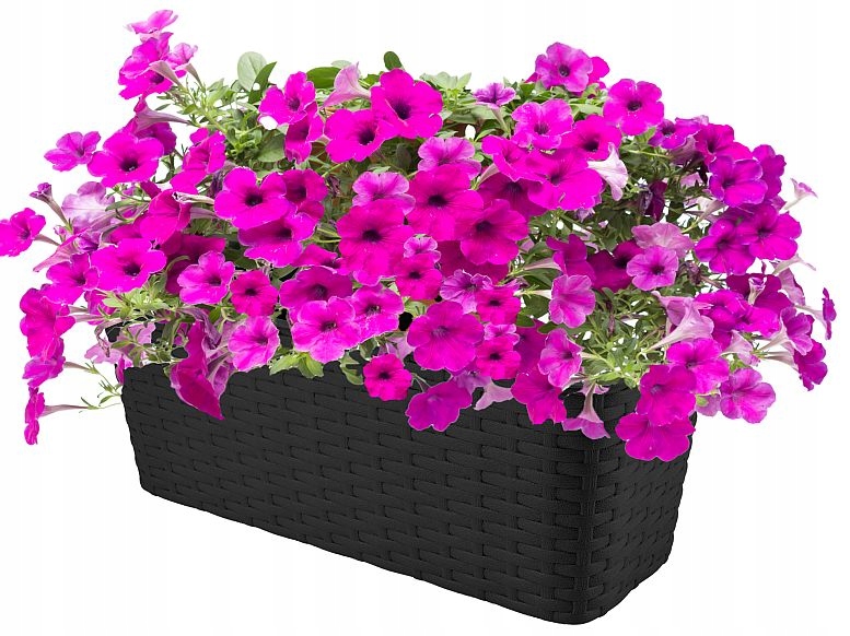 

Skrzynka Balkonowa Doniczka wz.ratan 40cm Antracyt