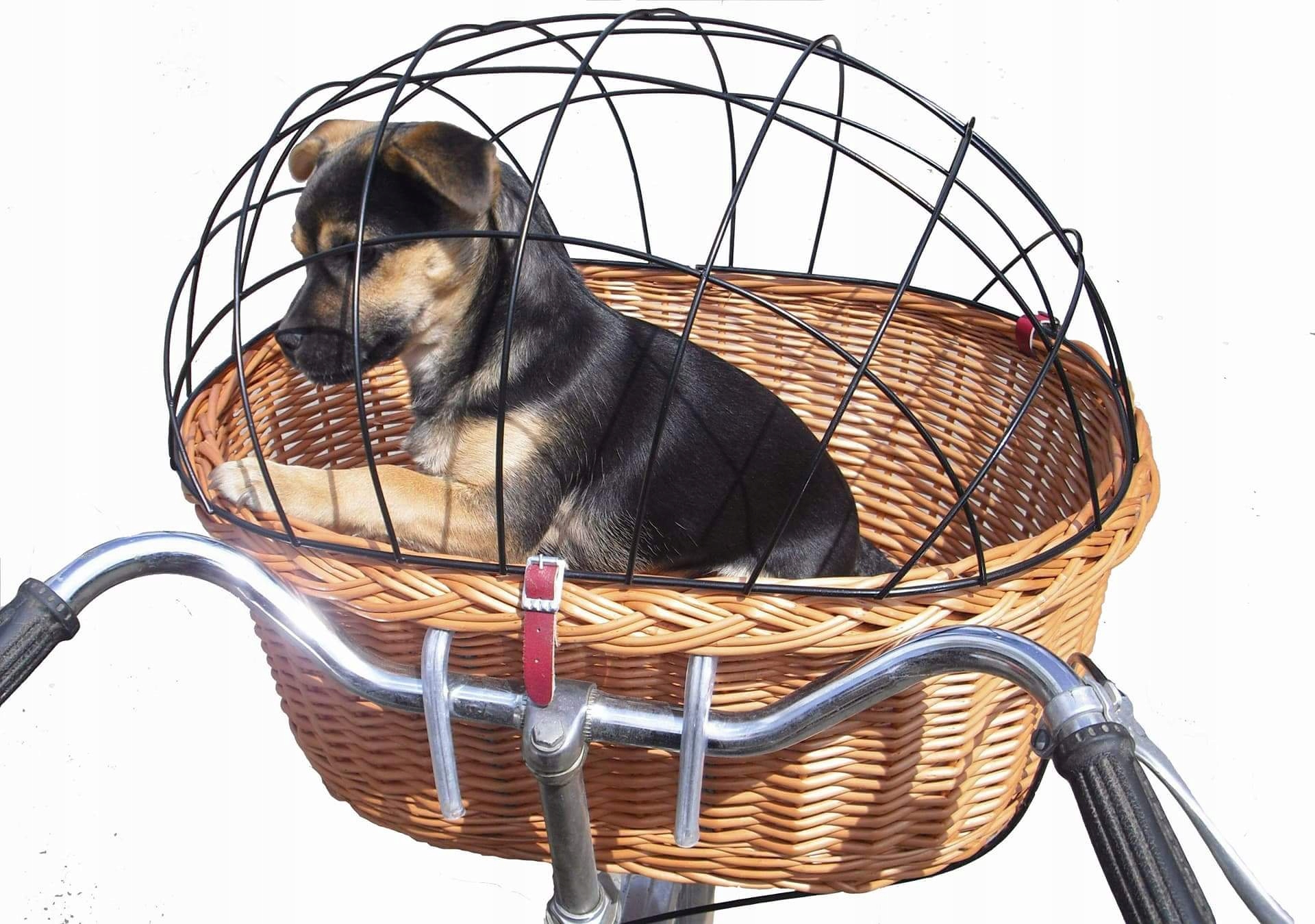 Bardzo duży transporter wiklinowy na Rower dla Psa