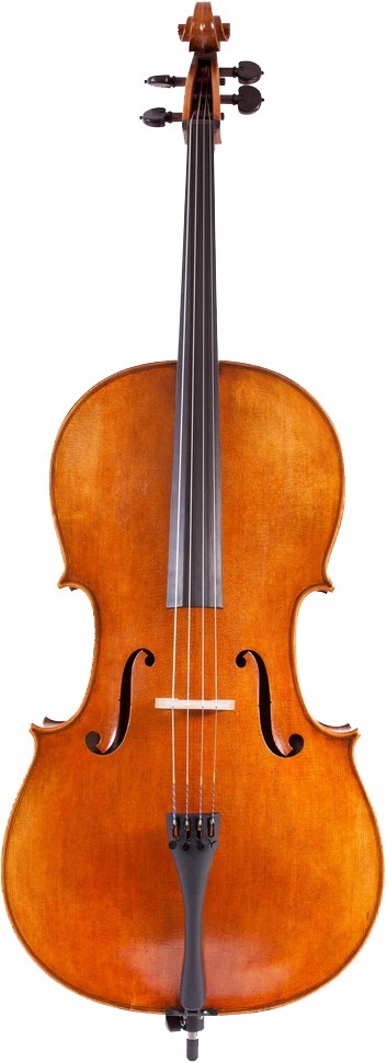 Violoncello 4/4 loutnické č.1100 Koncertní