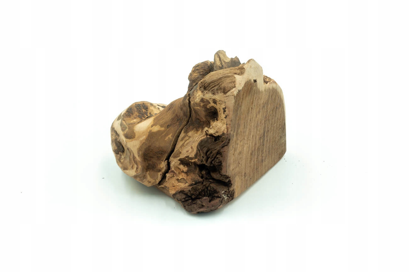 

4DOGS Gryzak dla psa z drewna wrzosowego korzeń L